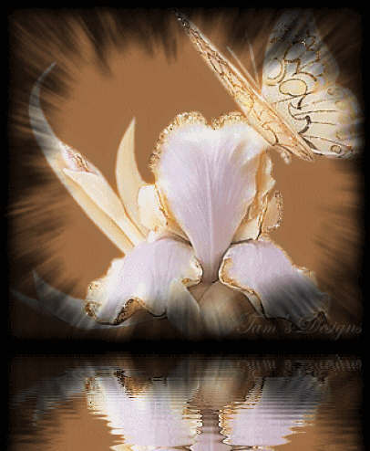 Bon vendredi 13...et bon week-end...